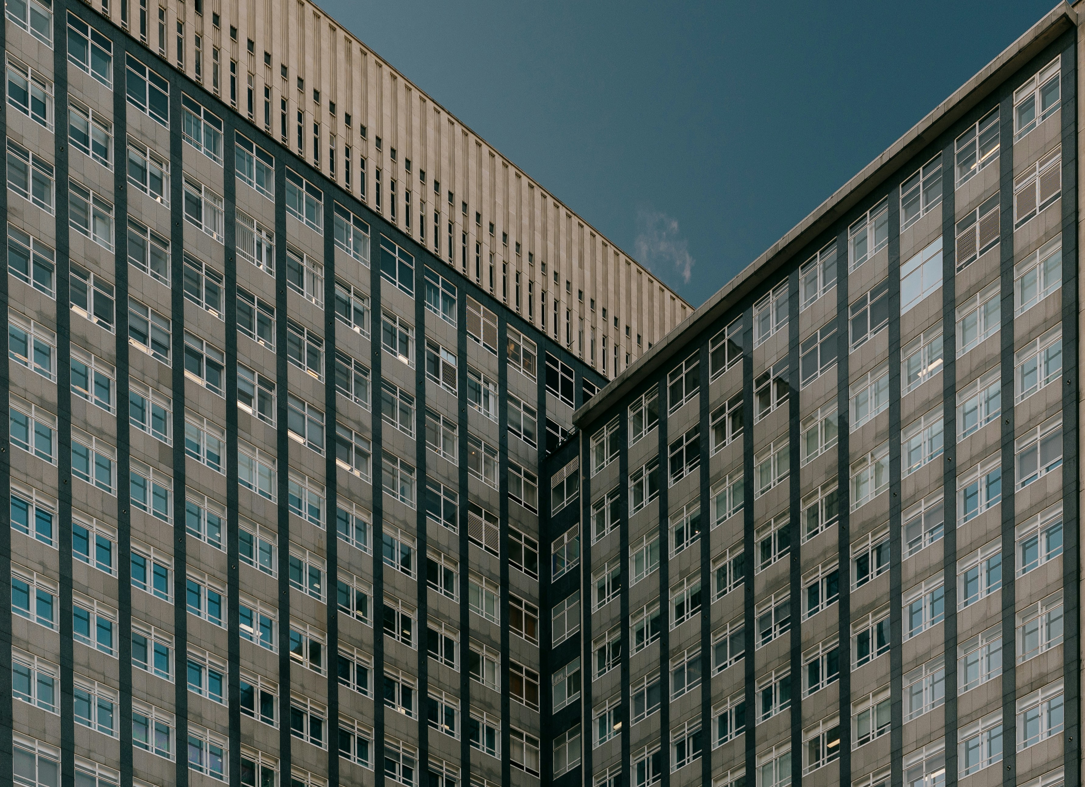 About Codveda Technologies